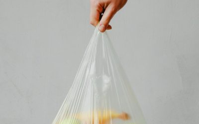 Plastic Bags and the Environmental Impact